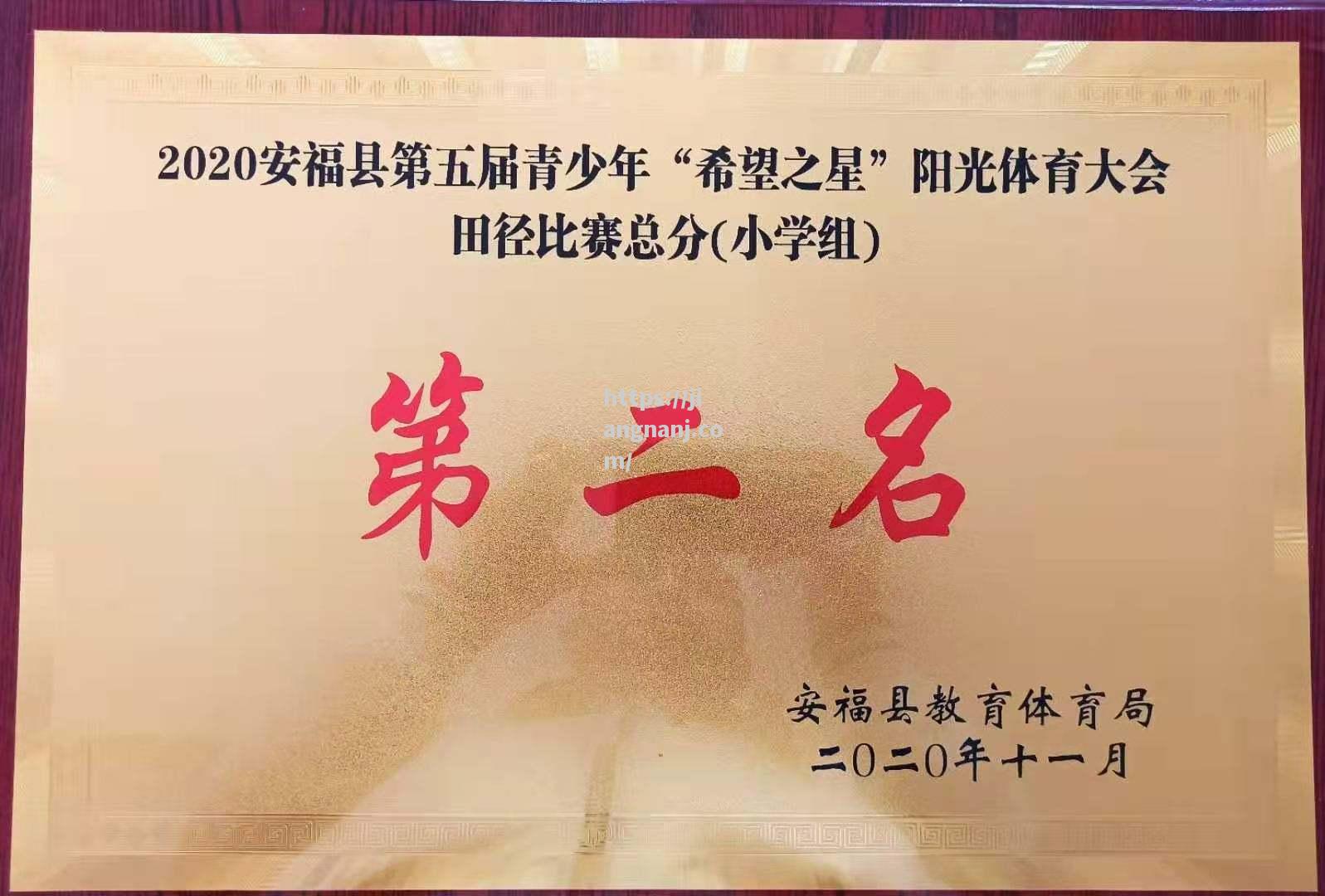 博茨瓦纳选手顽强拼搏，获奖